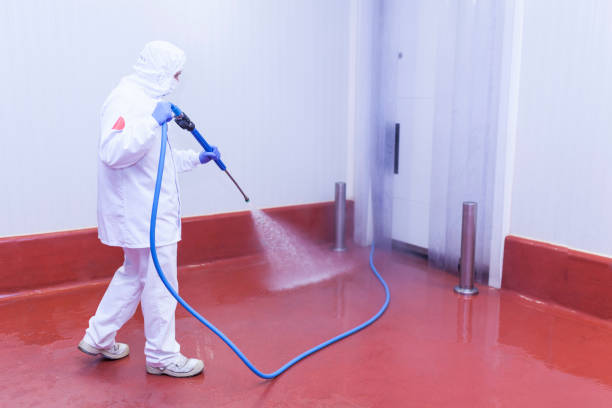 Best Graffiti Removal  in Big Spring, TX